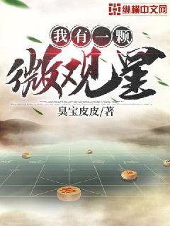 我有一颗微观星章节列表