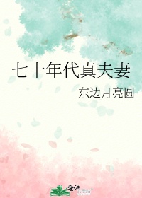 七十年代真夫妻章节列表