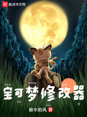 宝可梦修改器章节列表