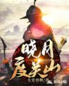 晓月度关山章节列表