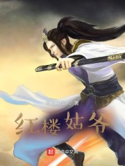 红楼姑爷章节列表