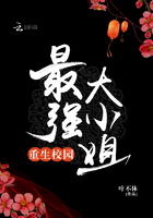 重生校园最强大小姐章节列表