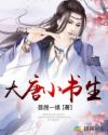 大唐小书生章节列表
