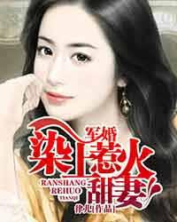 闪婚之我的惹火甜妻章节列表