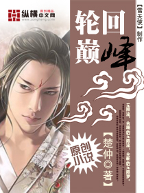 轮回巅峰章节列表