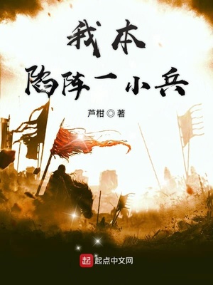 我本陷阵一小兵章节列表