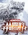 从雪豹开始进化章节列表