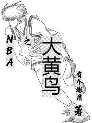 NBA之大黄鸟章节列表