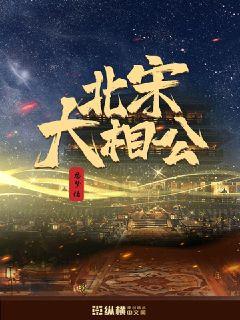 北宋大相公章节列表