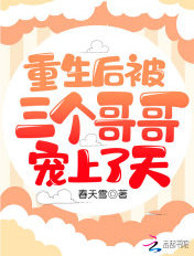 重生后被三个哥哥宠上了天章节列表