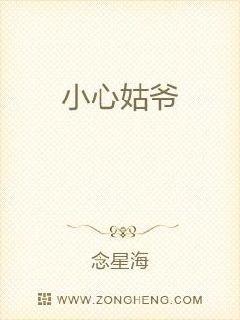 小心姑爷章节列表