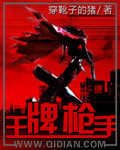王牌枪手章节列表