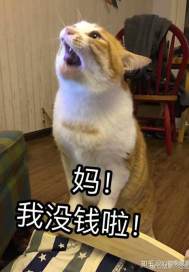 如果修炼变成学习章节列表