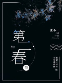 第二春章节列表