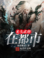光头武僧在都市章节列表