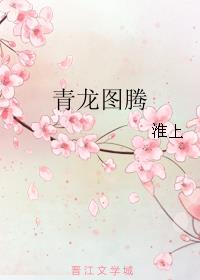 青龙图腾章节列表
