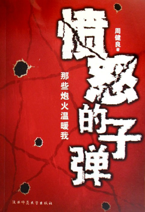 愤怒的子弹章节列表